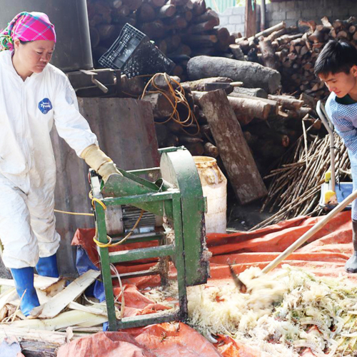 Nông Dân Tuyên Quang ‘Xẻ Núi’ Khởi Nghiệp Làm Giàu